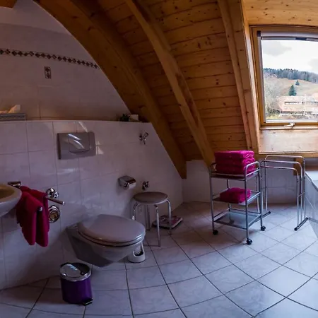 Apartment Schwarzwaldliebe *