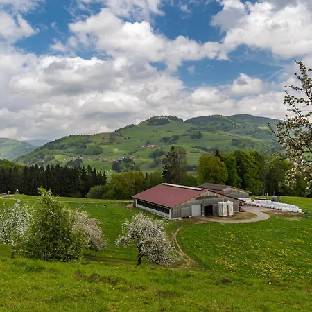 Schwarzwaldliebe Apartment Frohnd